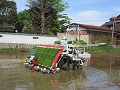 ペースト施肥田植機による田植作業