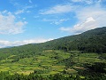 収穫を迎えた吉延の棚田（令和5年10月撮影）