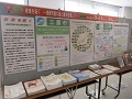 展示の様子