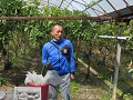 西川代表からのグアバほ場の説明