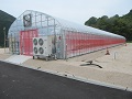 農業研修用ハウス