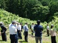 栗園で生産者の話を聞く参加者たち