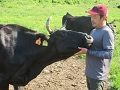 飼い主の世良さんと親牛