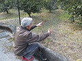 防護ネット張りの説明をする渡辺さん