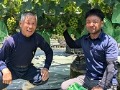 来月中下旬に収穫を迎えるぶどうと菅氏（左）、近藤氏（右）