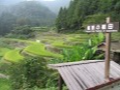棚田の風景1