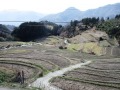 257枚の壮観な棚田風景