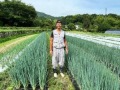 廿日九条葱圃場