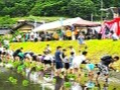 参加者全員で田植え