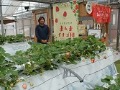 観光いちご園を紹介する小林代表
