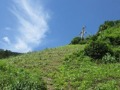 猿飼地区の傾斜地農地:つるぎ町