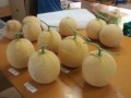 出荷に向けた選果の様子