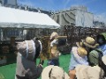 ミツバチが蜜を貯める蜜枠を見学する様子