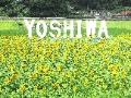 フォトジェニックなモニュメント