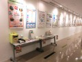 パネル展示の様子