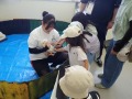 説明を聞きながら動物とふれあい