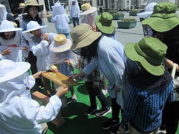 巣箱の蜂蜜を試食する様子