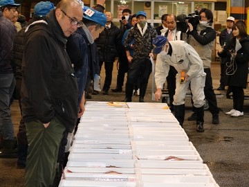 水産卸売市場の初セリ