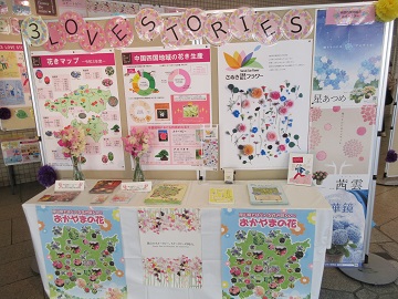 岡山市役所市民ホール展示の様子