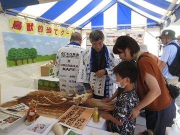 シカの角や毛皮に触れる親子