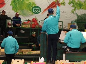 青果卸売市場の初セリ