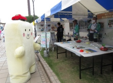 わたるくんもクイズに挑戦