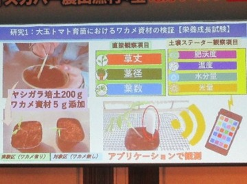 吉野川高校の発表