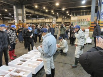 水産物の初セリ