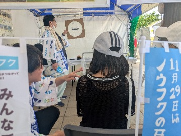 トイドローンの操作に夢中