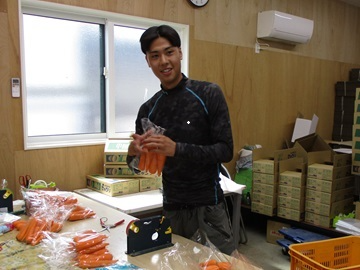 ニンジン出荷作業中の水嶋さん