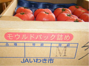 福島県産トマト