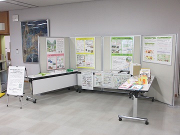 展示の様子