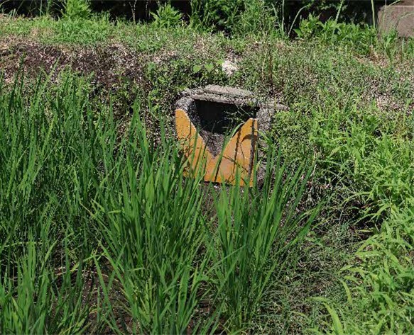 田んぼダムの取り組み(流域治水)