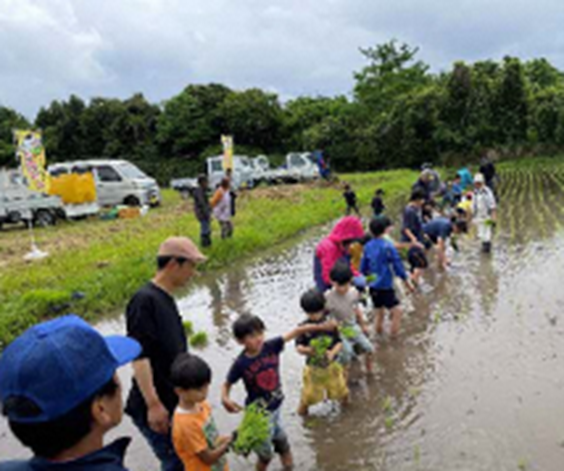 地域の子供たちと食農体験学習