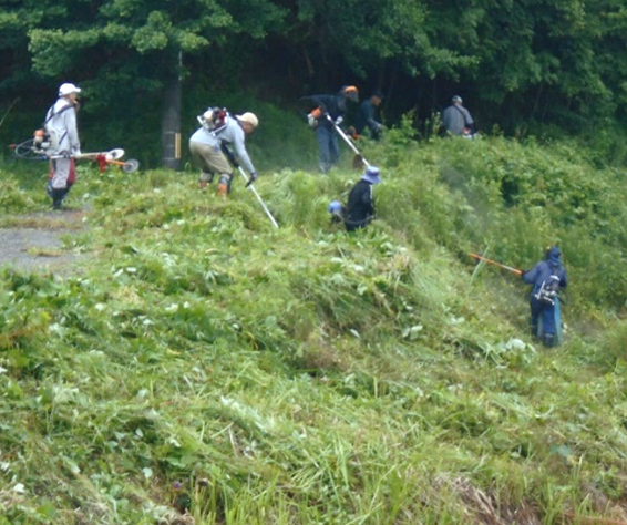 草刈り支援隊による活動