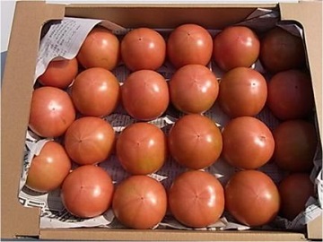 箱詰めされたトマト