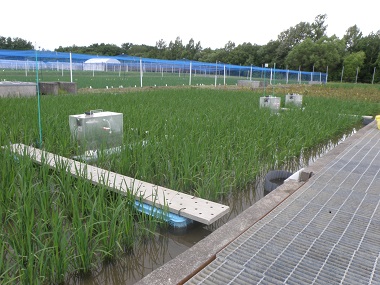 メタン発生測定装置