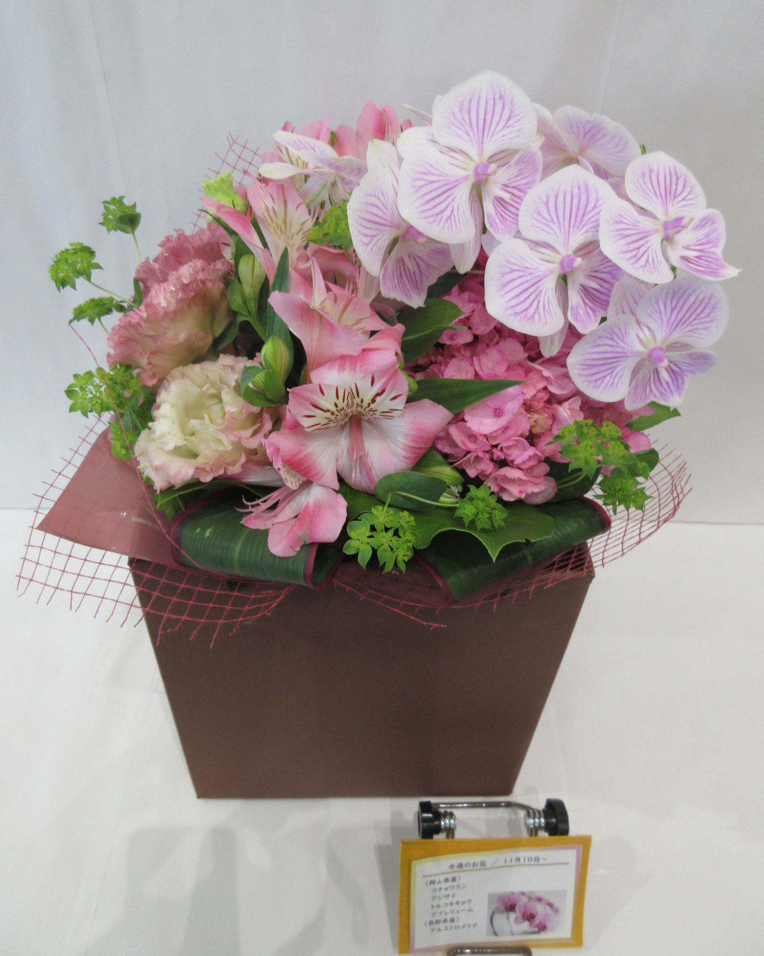 11月10日の週の花