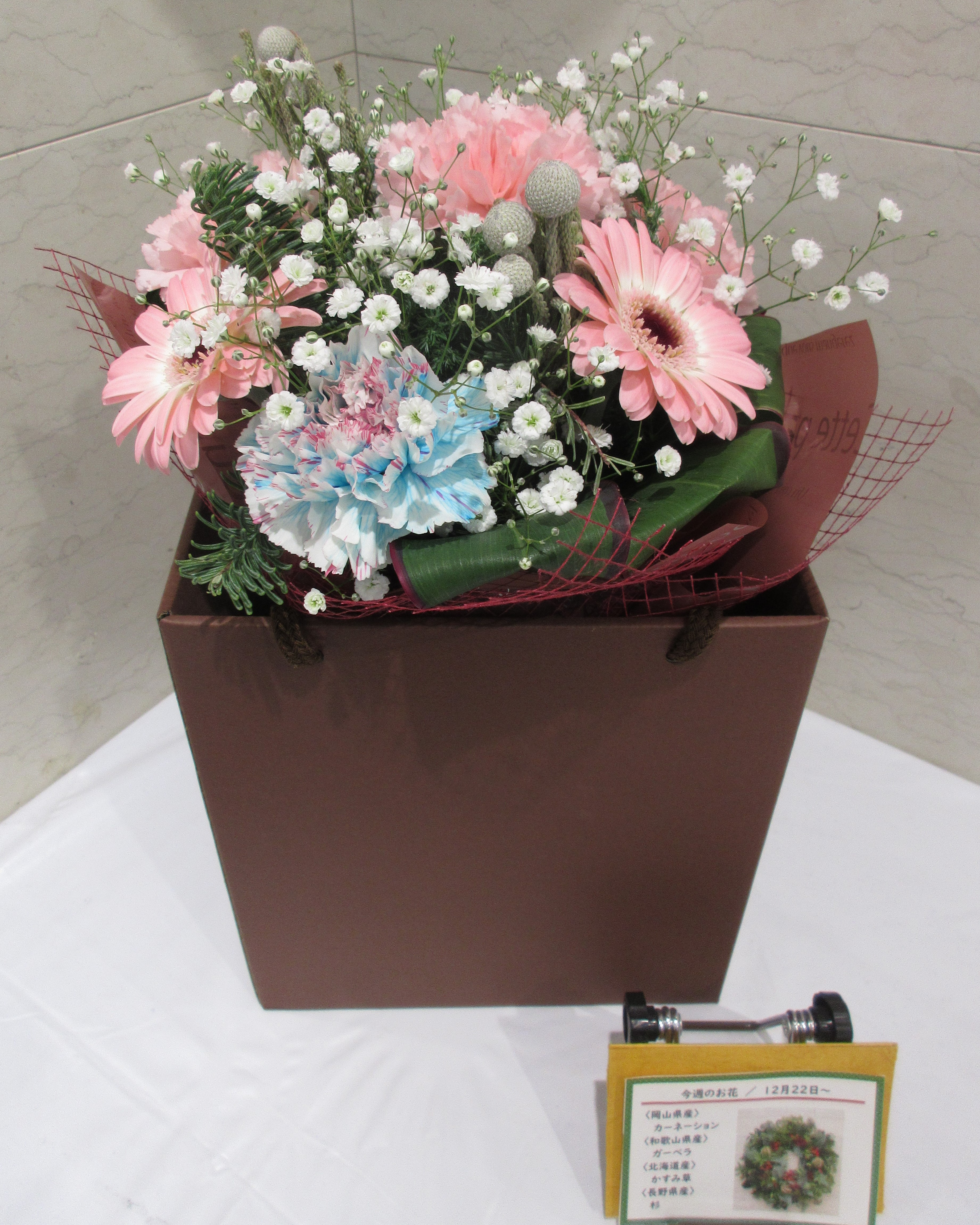 12月22日の週の花