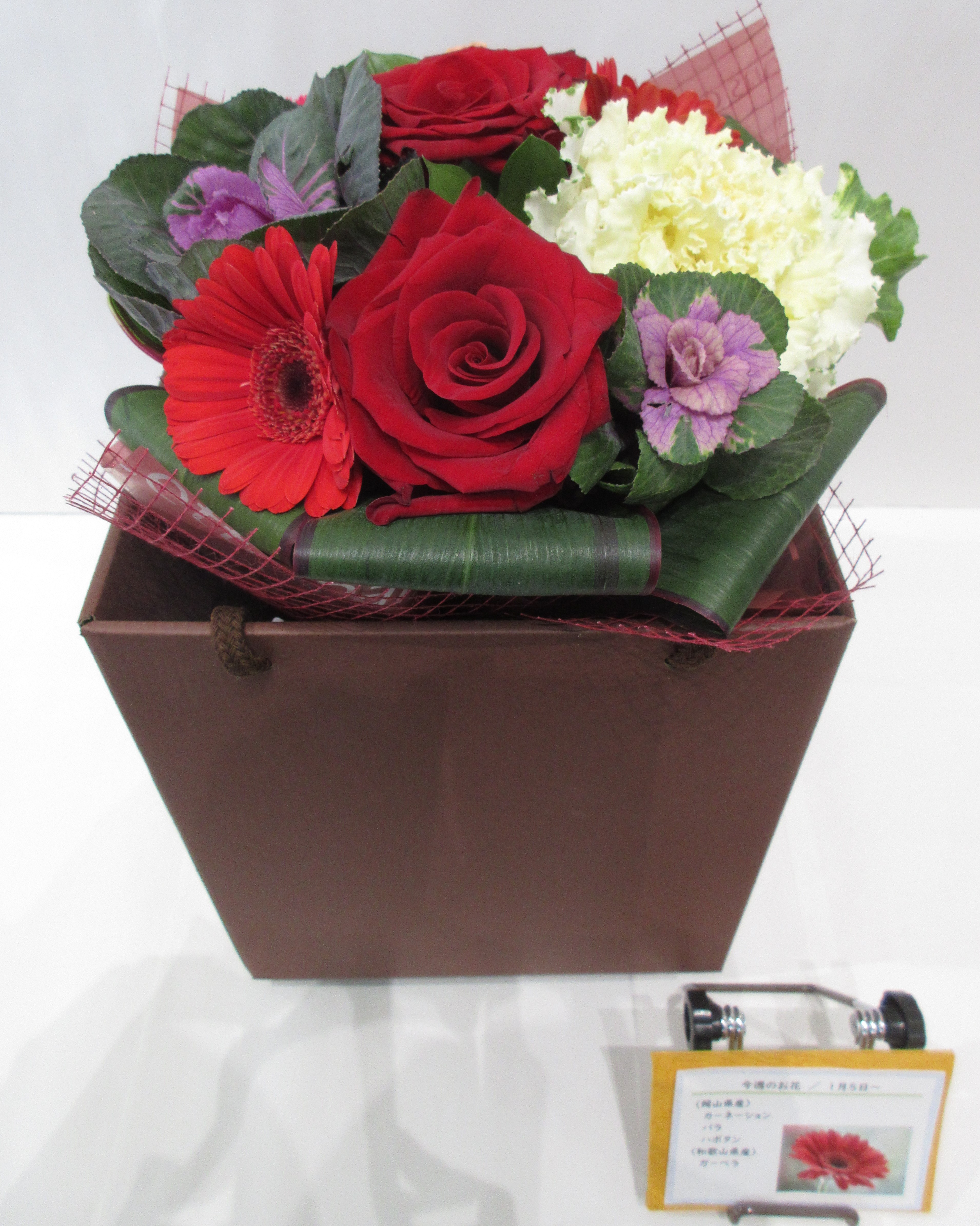 1月5日の週の花