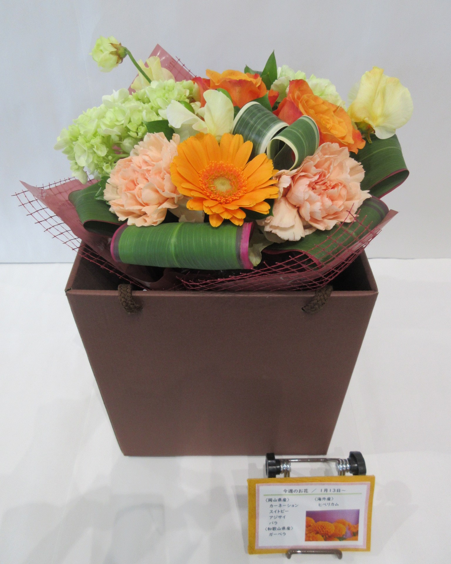 1月13日の週の花