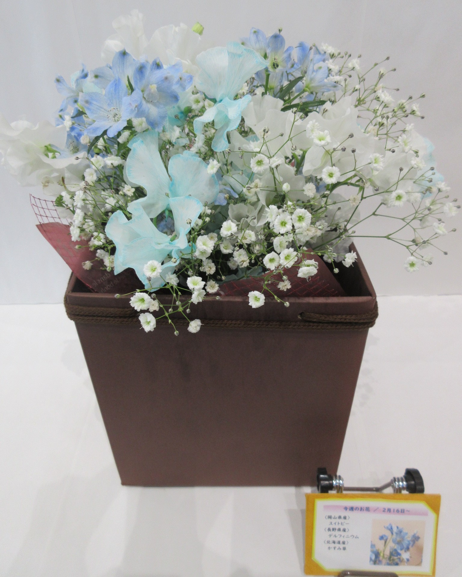 2月16日の週の花