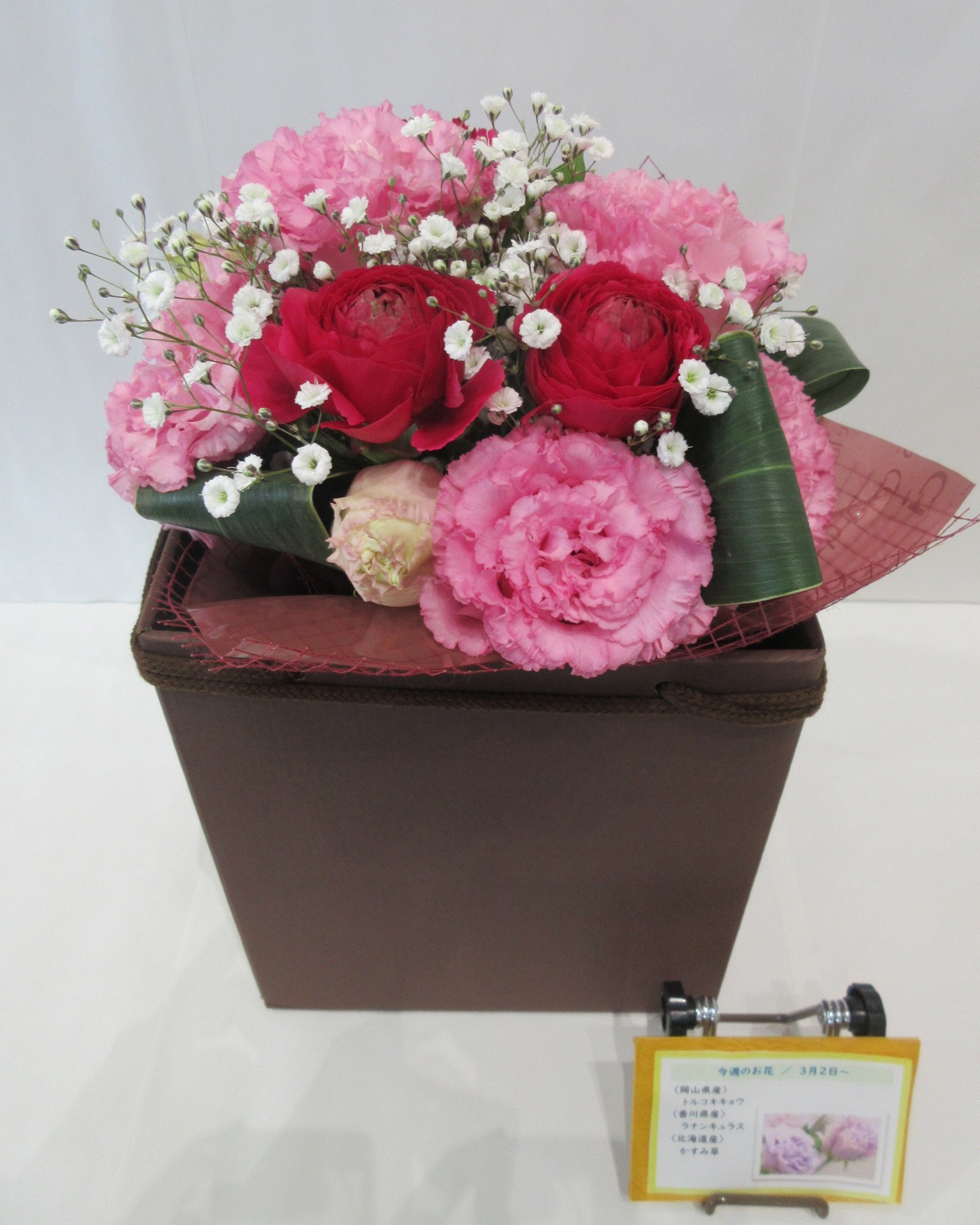 3月2日の週の花