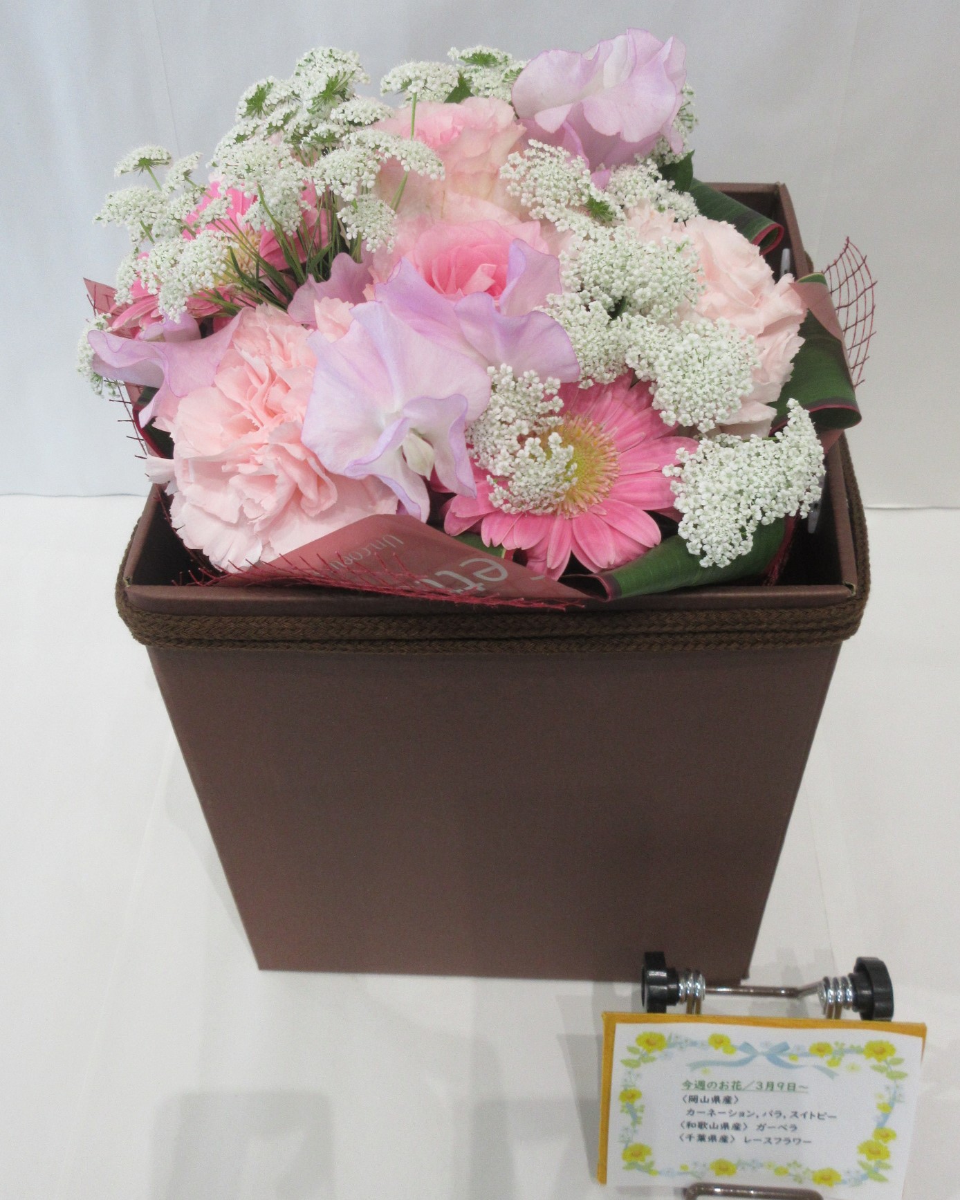 3月9日の週の花