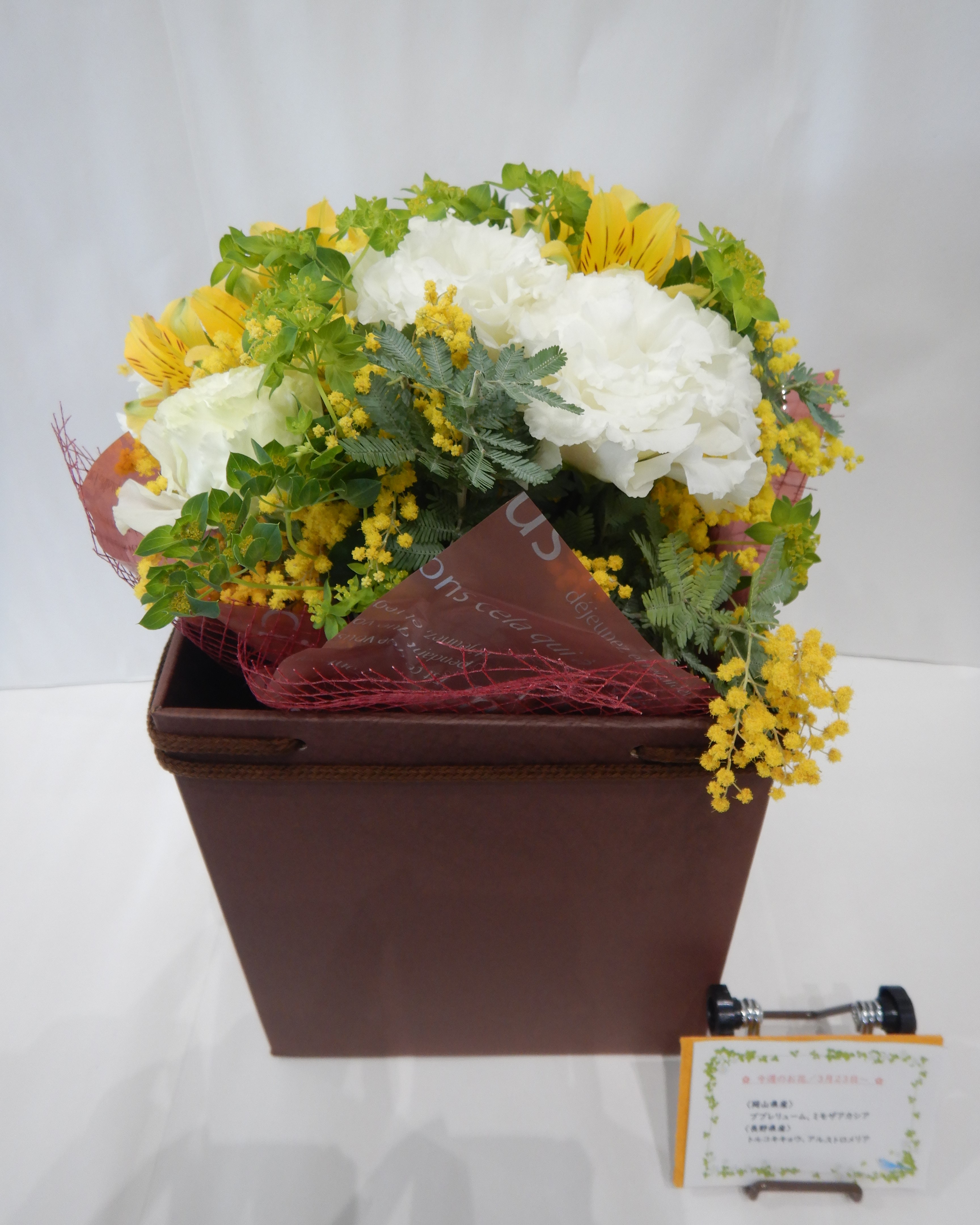 3月23日の週の花