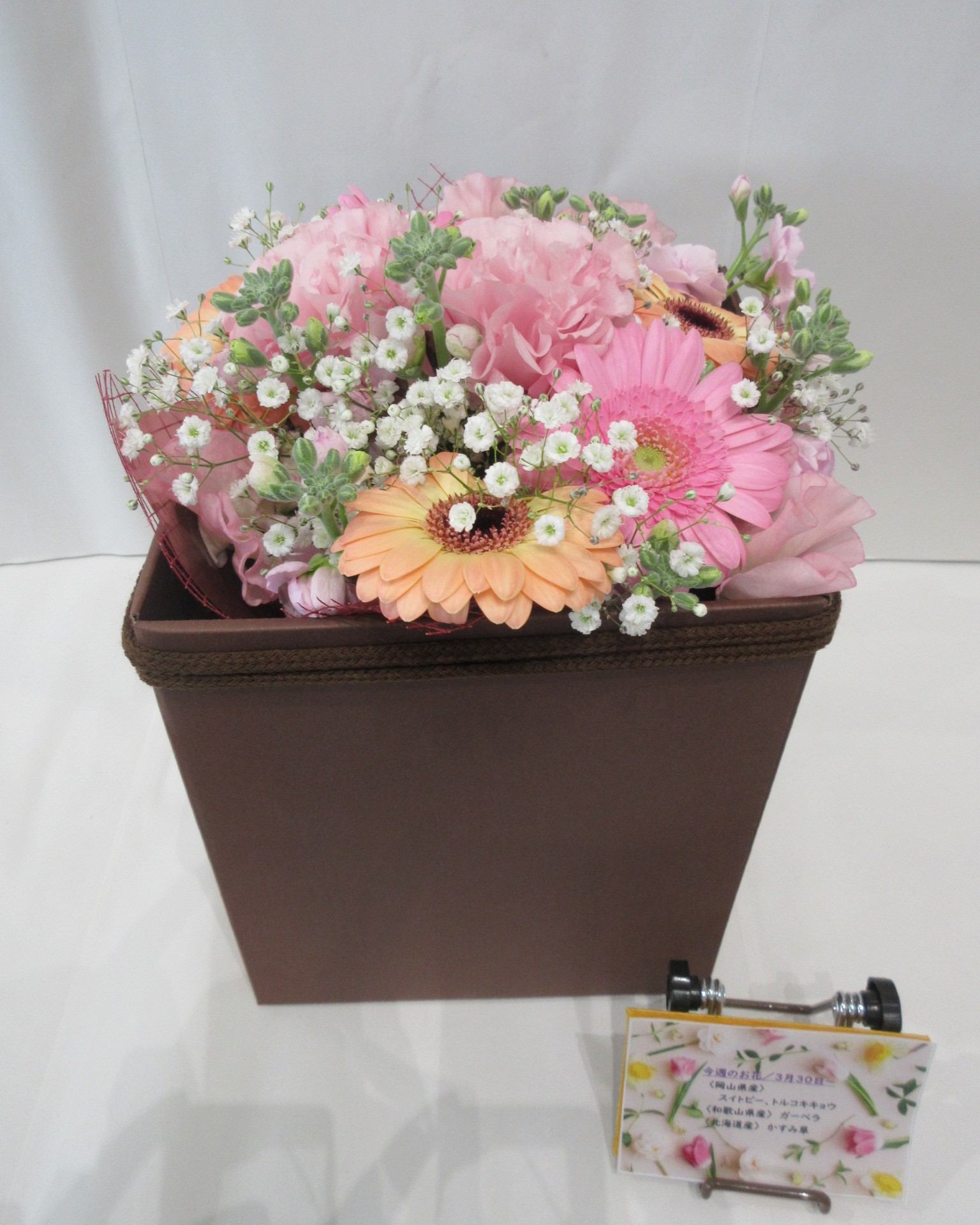 3月30日の週の花