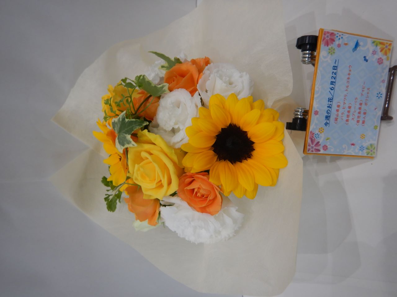 6月22日の週の花