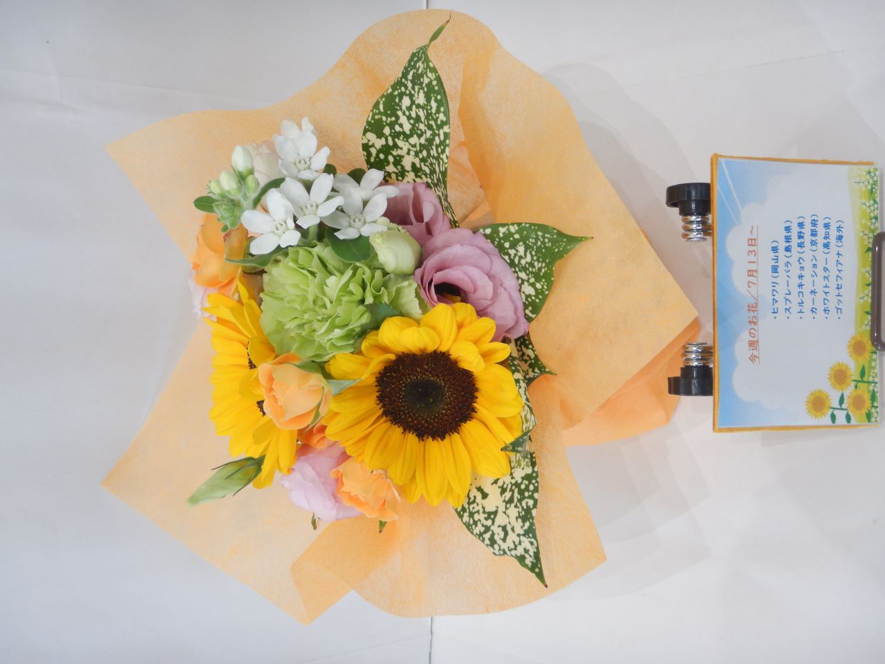 7月13日の週の花