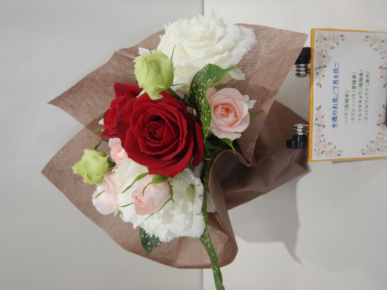 7月6日の週の花