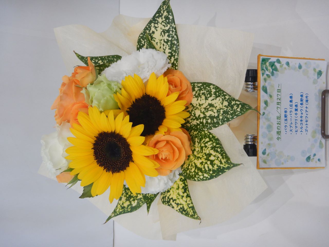 7月27日の週の花